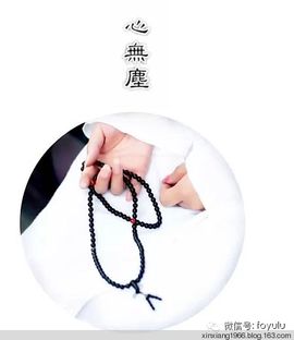 永远挂号主播照片