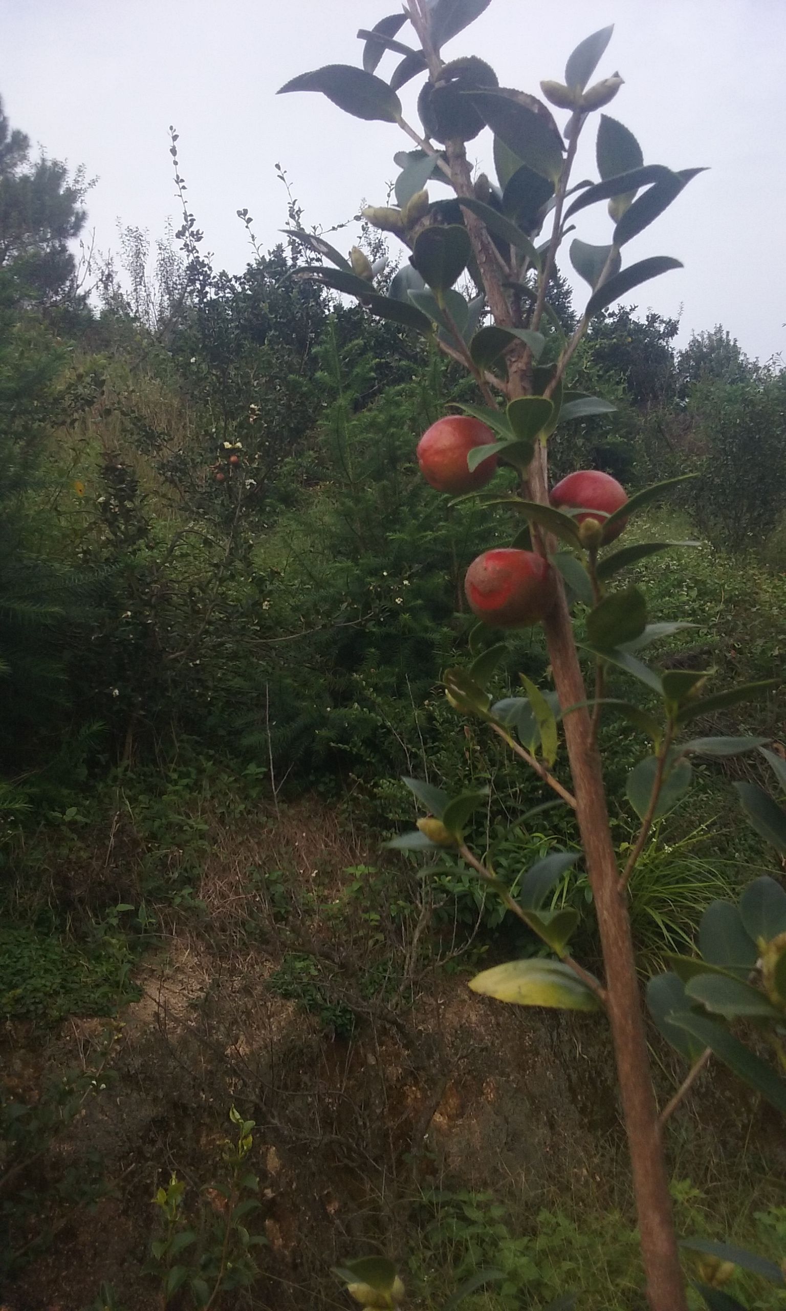 此账号已注销的图片