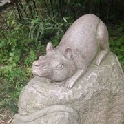 微信_6383050