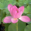 我心飞翔wo8