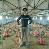 兵哥兵哥海报