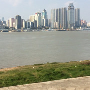 藸寶寶的头像