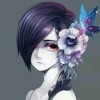 毛毛兔plus