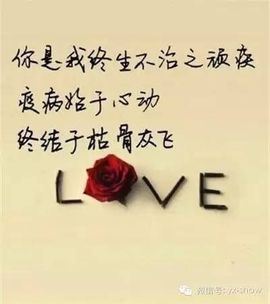 🖤BLACK8La主播照片