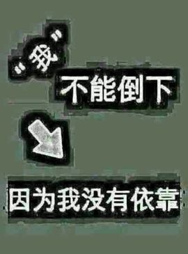 ゞ╃風恋紫薯主播照片