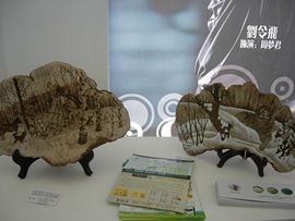 易博轩主播照片