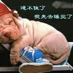 慕容宛秋