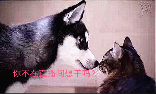 に*水果大王*に的图片