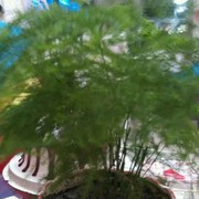 微信_7657095