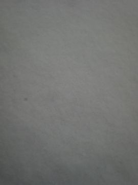 我的親親主播照片