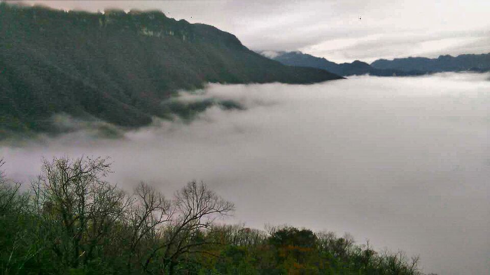 神农架.山妹妹主播照片