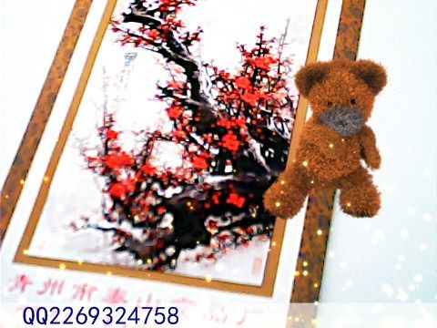 1555588955的主播照片