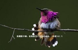 Lydiahu主播照片