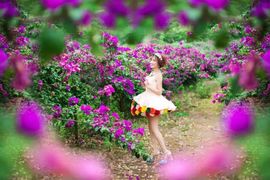 桂林花海景区主播照片