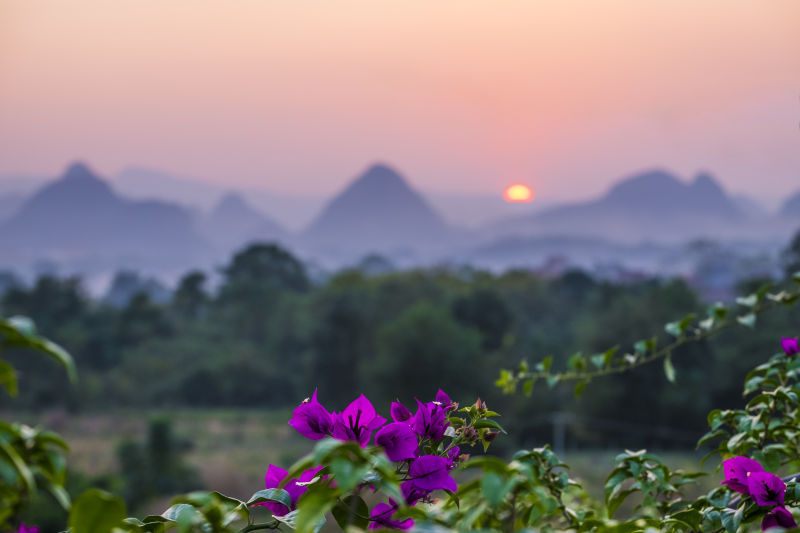 桂林花海景区的主播照片