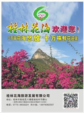 桂林花海主播照片