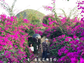花海旅游主播照片