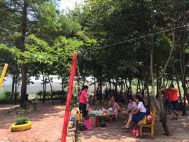 花海旅游主播照片