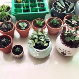 ✿...霓丽主播照片