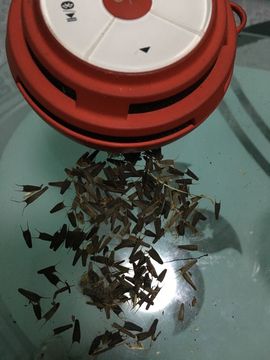 泓一户外主播照片