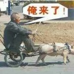 萧萧々的々男朋友
