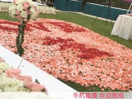 ☠⭐月光主播照片