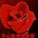 紫魅灵