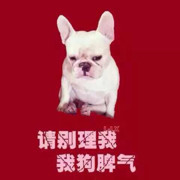 ジღ妮的银哥哥海报