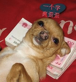 路虎K主播照片