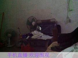 微信_0380307主播照片