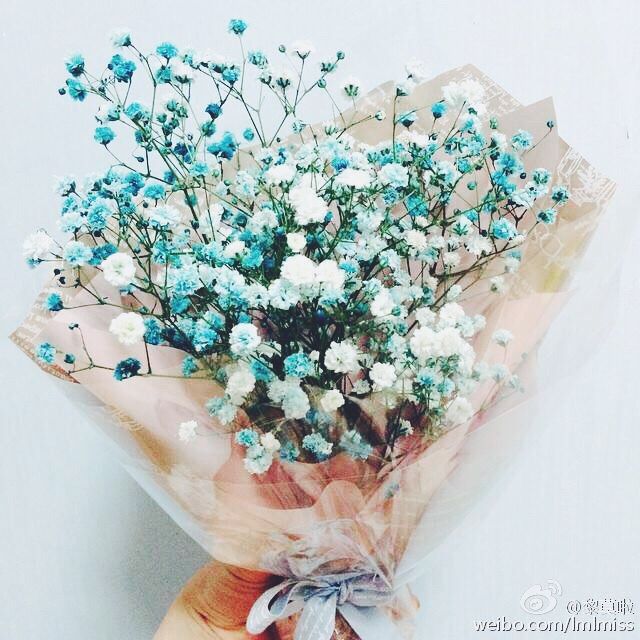 小鱼儿🎈豆沙包主播照片