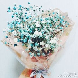 小鱼儿🎈豆沙包主播照片