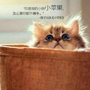 好邻居✌海报
