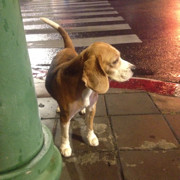 风吹过你的脸颊海报