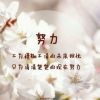 愛伈亦♀殇^纞