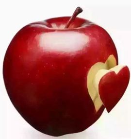 ╰゛•.主播照片