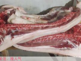 😱……主播照片