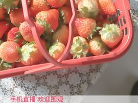 Sweet💫主播照片