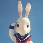 本宫迷上赏菊了吗？