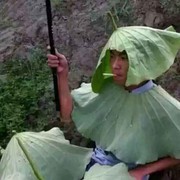 游侠110
