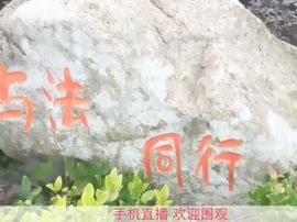 ☂客家甜心金牌代理☂主播照片