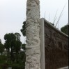 栋栋拐r7