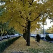 李家酒哥