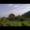執子之手將子騙走