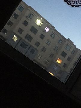 陪我丶去流浪主播照片