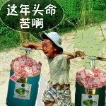 我爱你的baoyu海报