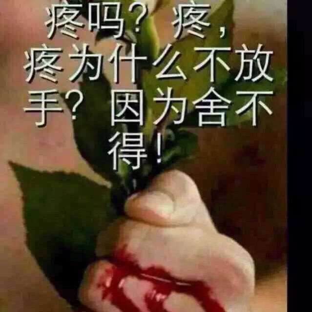习惯所有假的主播照片