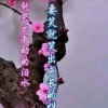 ·刺挠···闹闹♂