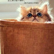 微信_1992212的头像