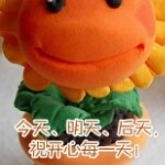~喜欢玫瑰~